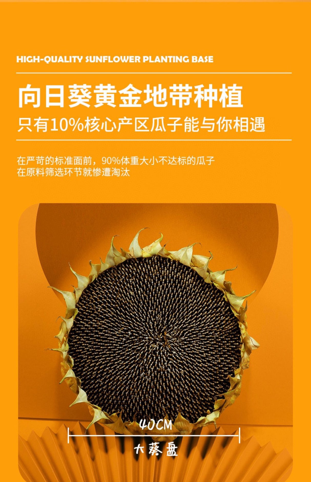 【三胖蛋】原味大瓜子(红)