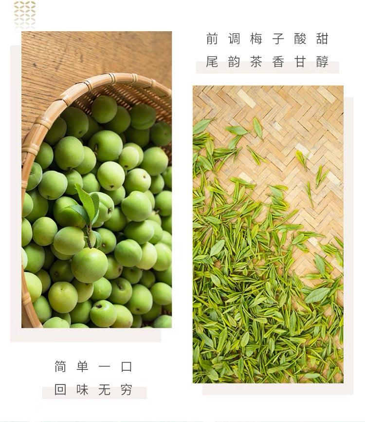 特价【达利园】青梅绿茶 500ml*15