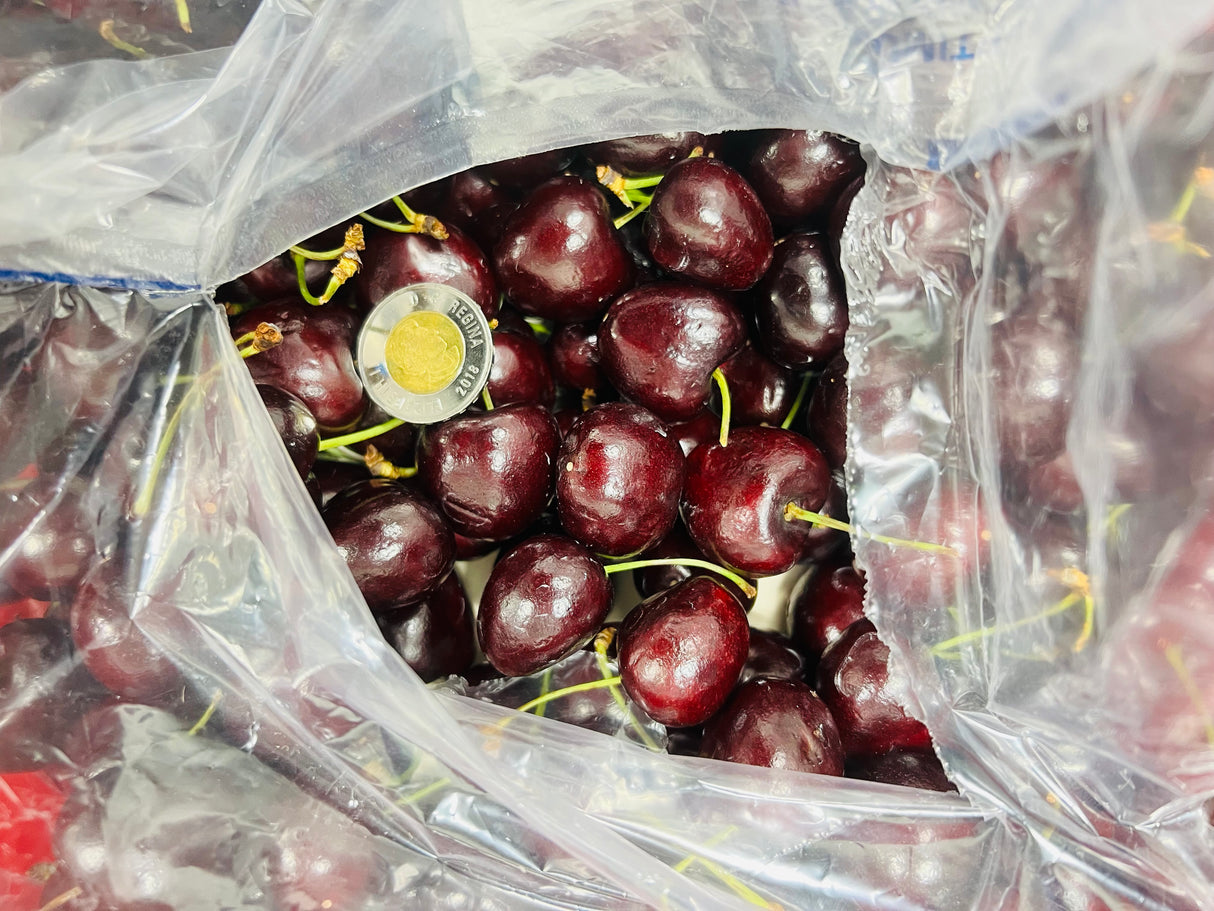 【Chile】Air Freight Cherries 1 Box 2.5kg