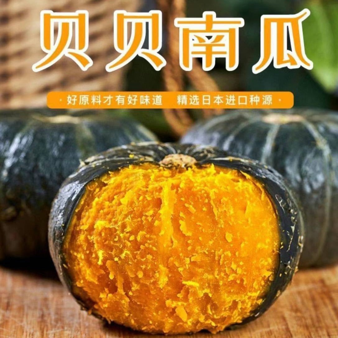 【绿小贝】贝贝南瓜