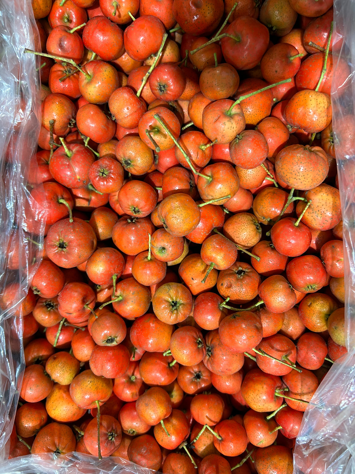 【中国】新鲜山楂