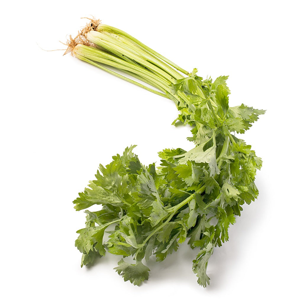 【墨西哥】新鲜香芹