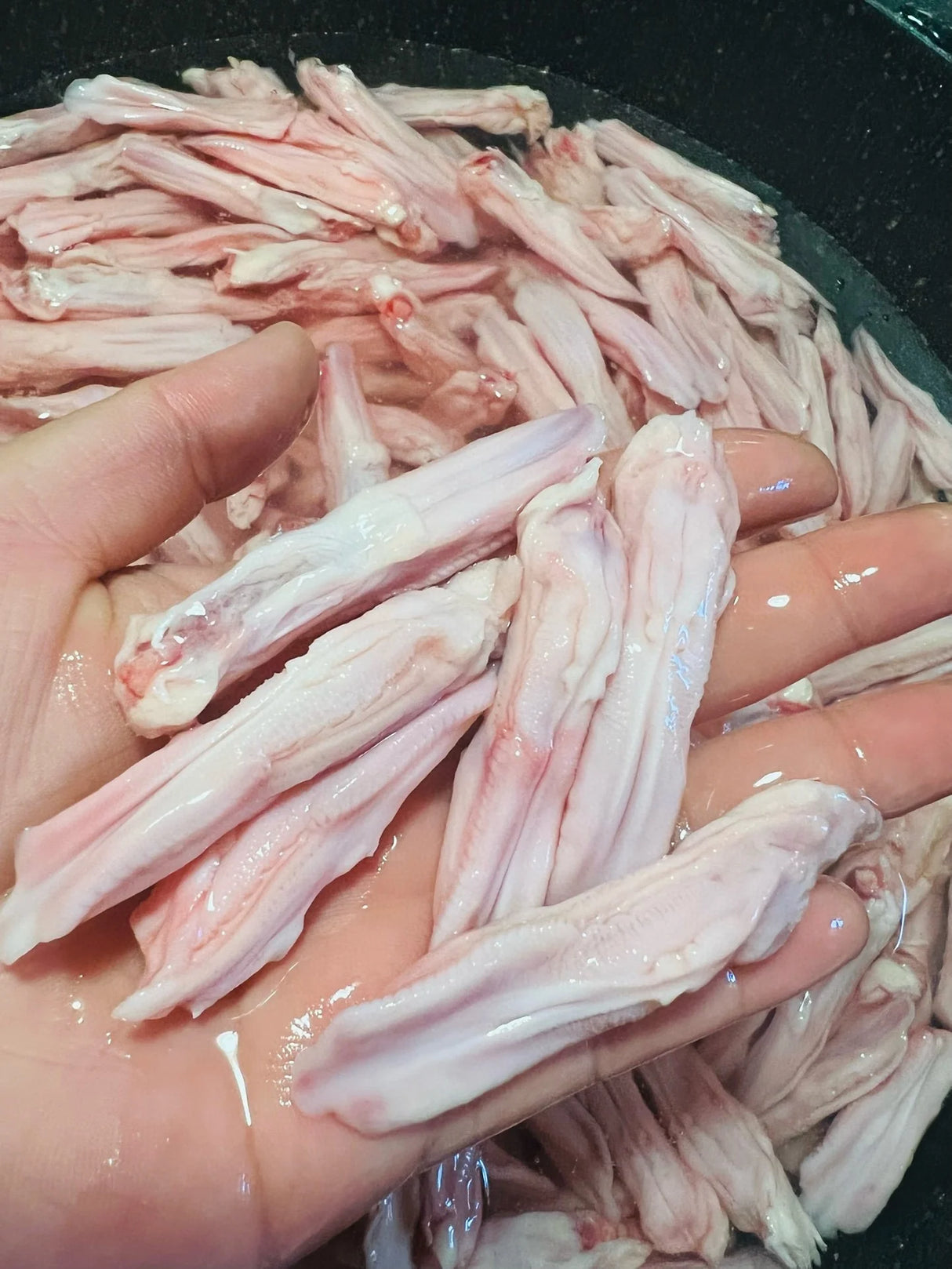 ❄️【GO BOX】冰鲜农场鸭舌