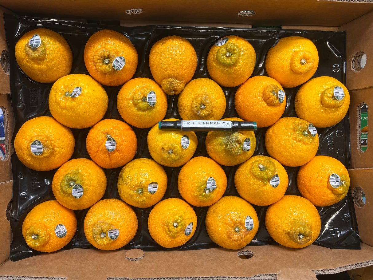 【KING】丑橘 1大箱