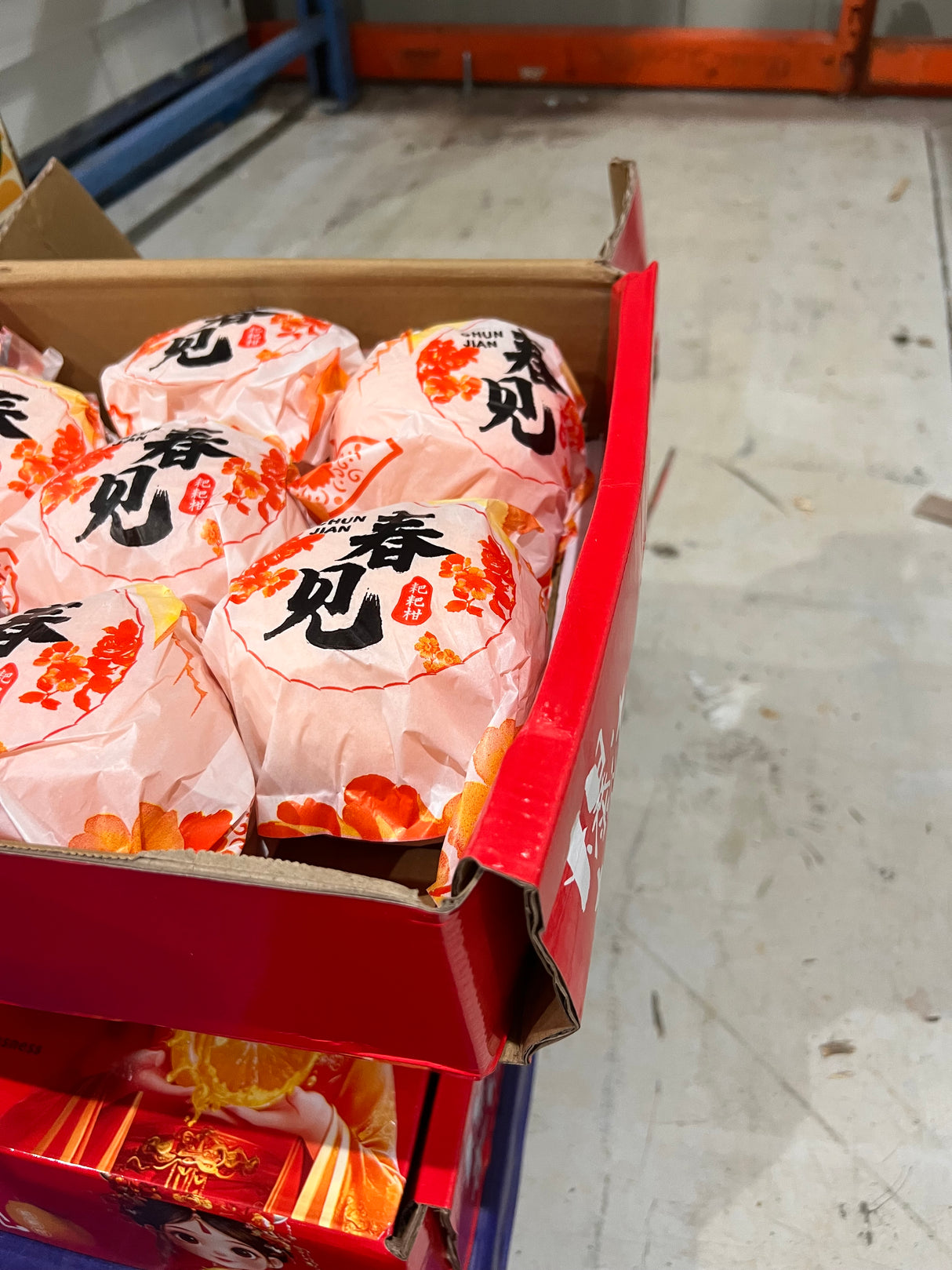 特价【中国】春见耙耙柑