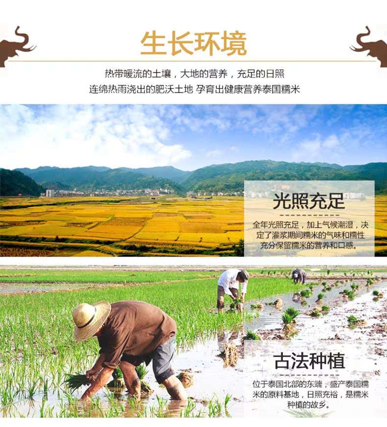 【Thailand】Top grade white glutinous rice