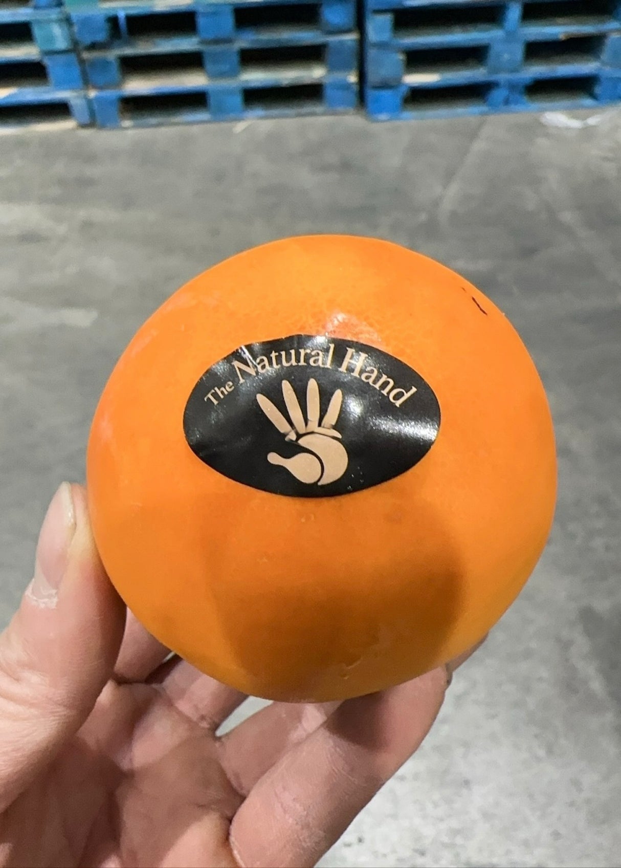 【Spain】Tall Persimmon