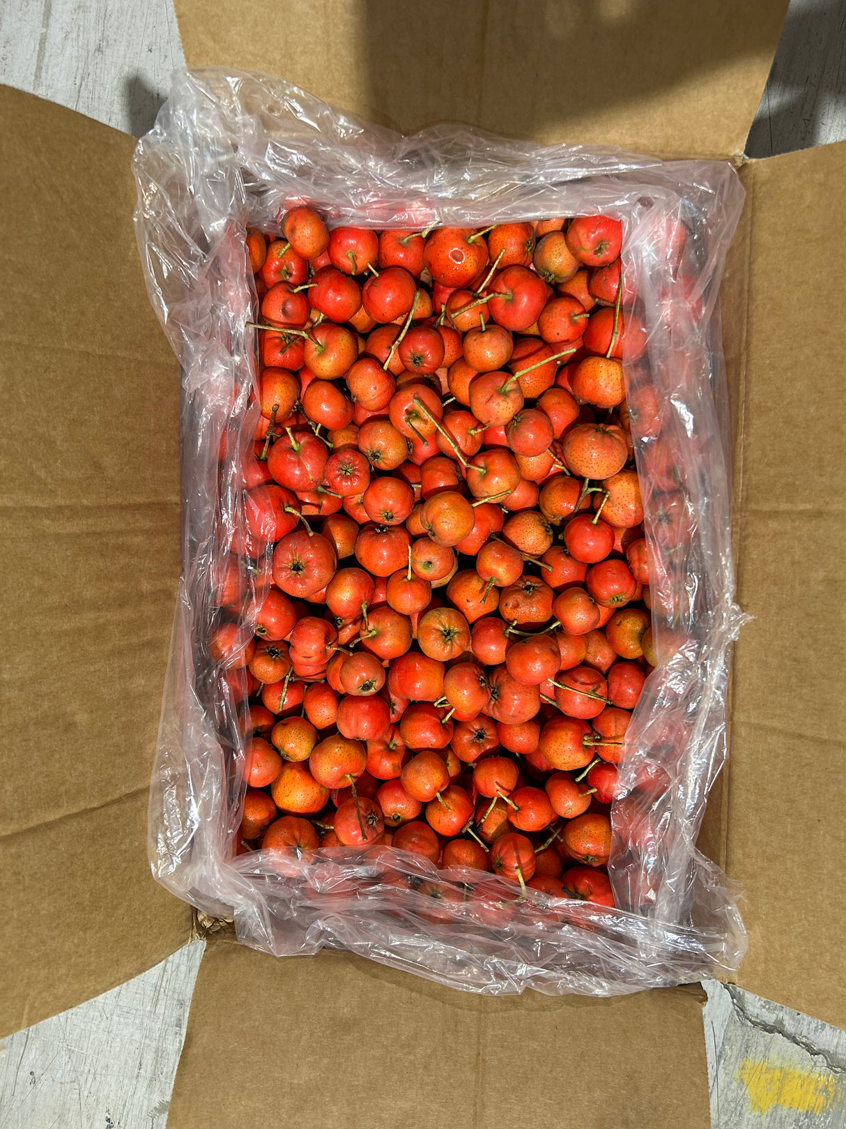 【中国】新鲜山楂