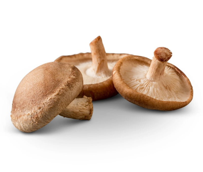 【Local】Dried Shiitake Mushrooms (Medium)