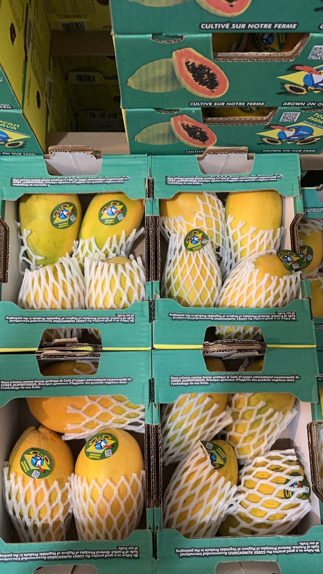【Brazil】1 box of 1.8 kg papaya