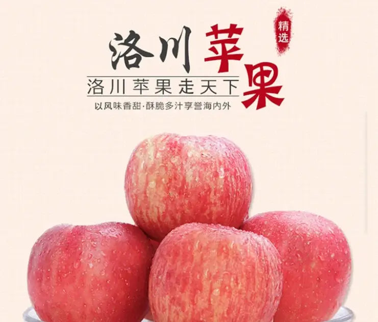 【中国】洛川苹果礼盒 1盒2.5公斤