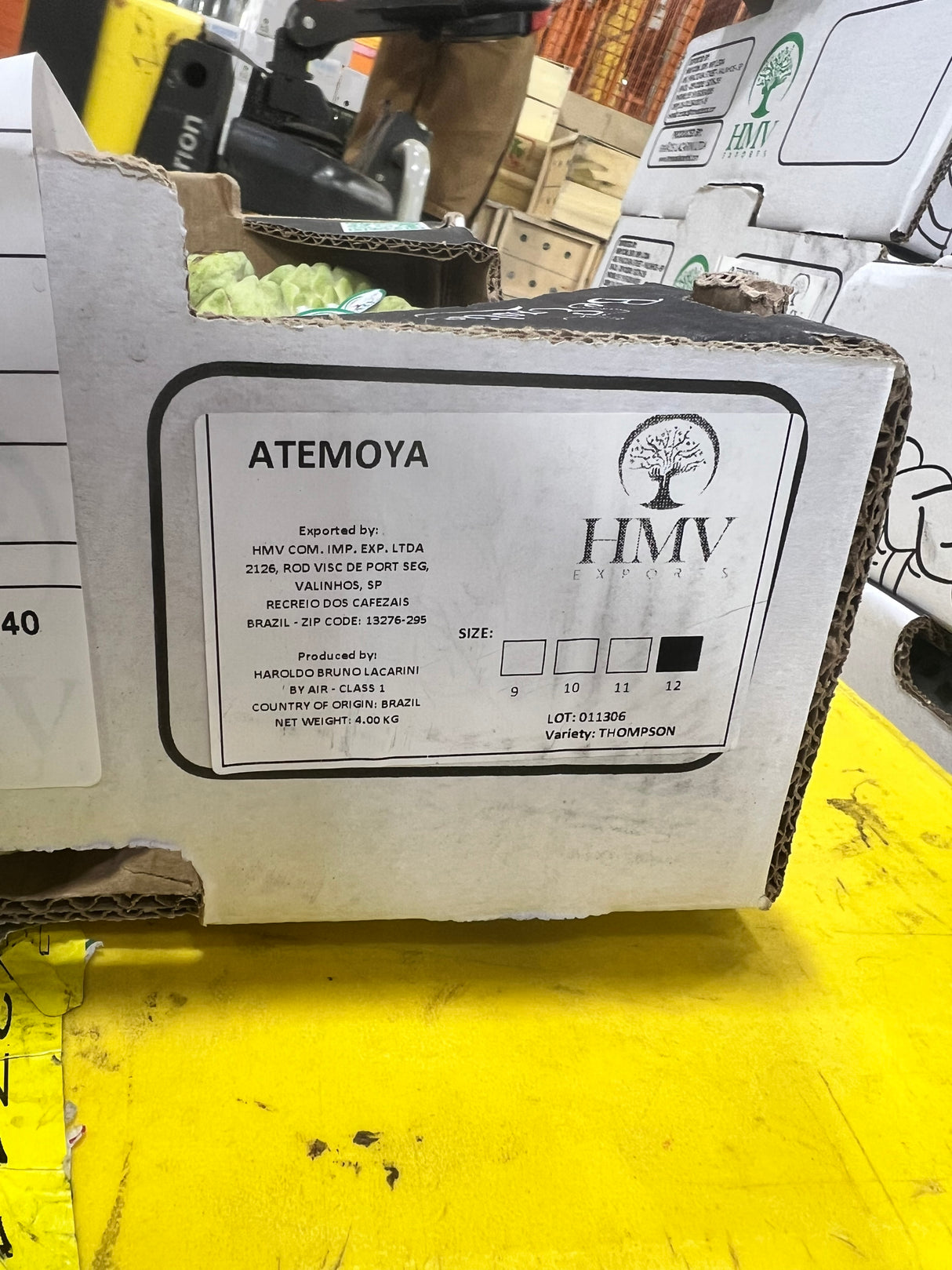 【Brazil】Air Freight Sugar Apple 1 Box 4kg