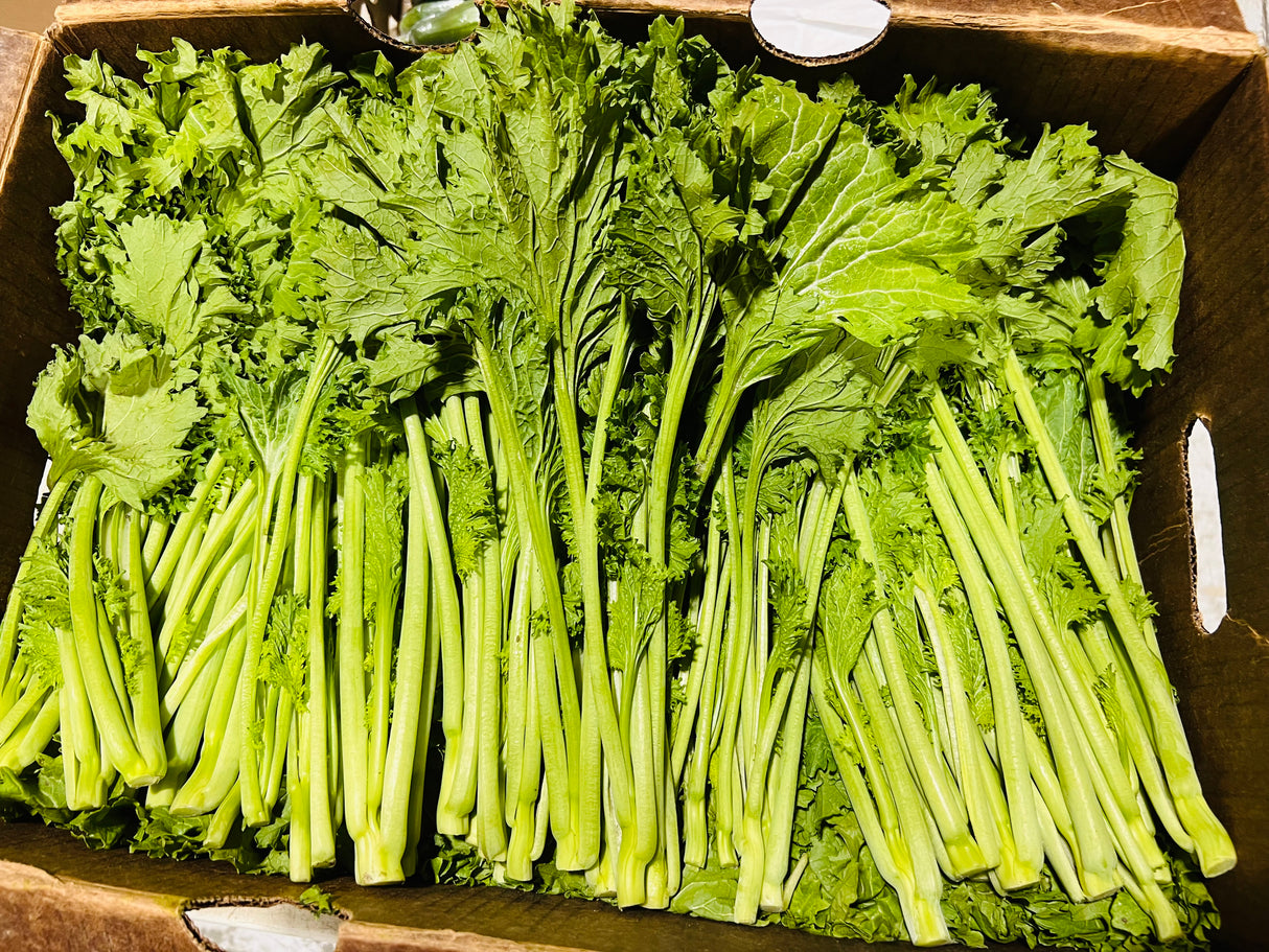 【本地】有机雪里蕻