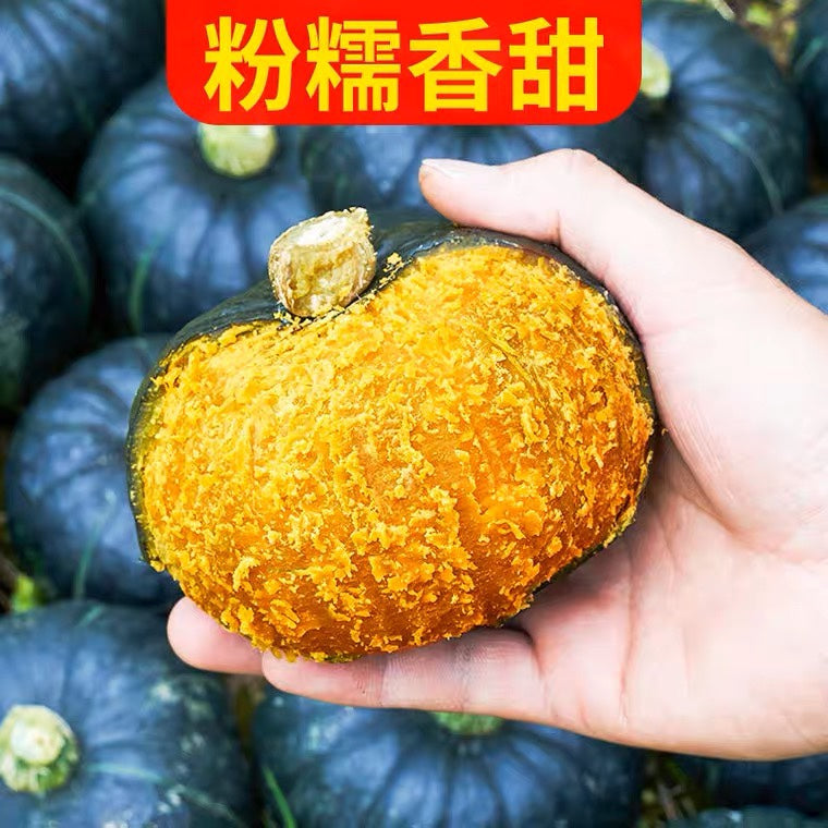 【绿小贝】贝贝南瓜