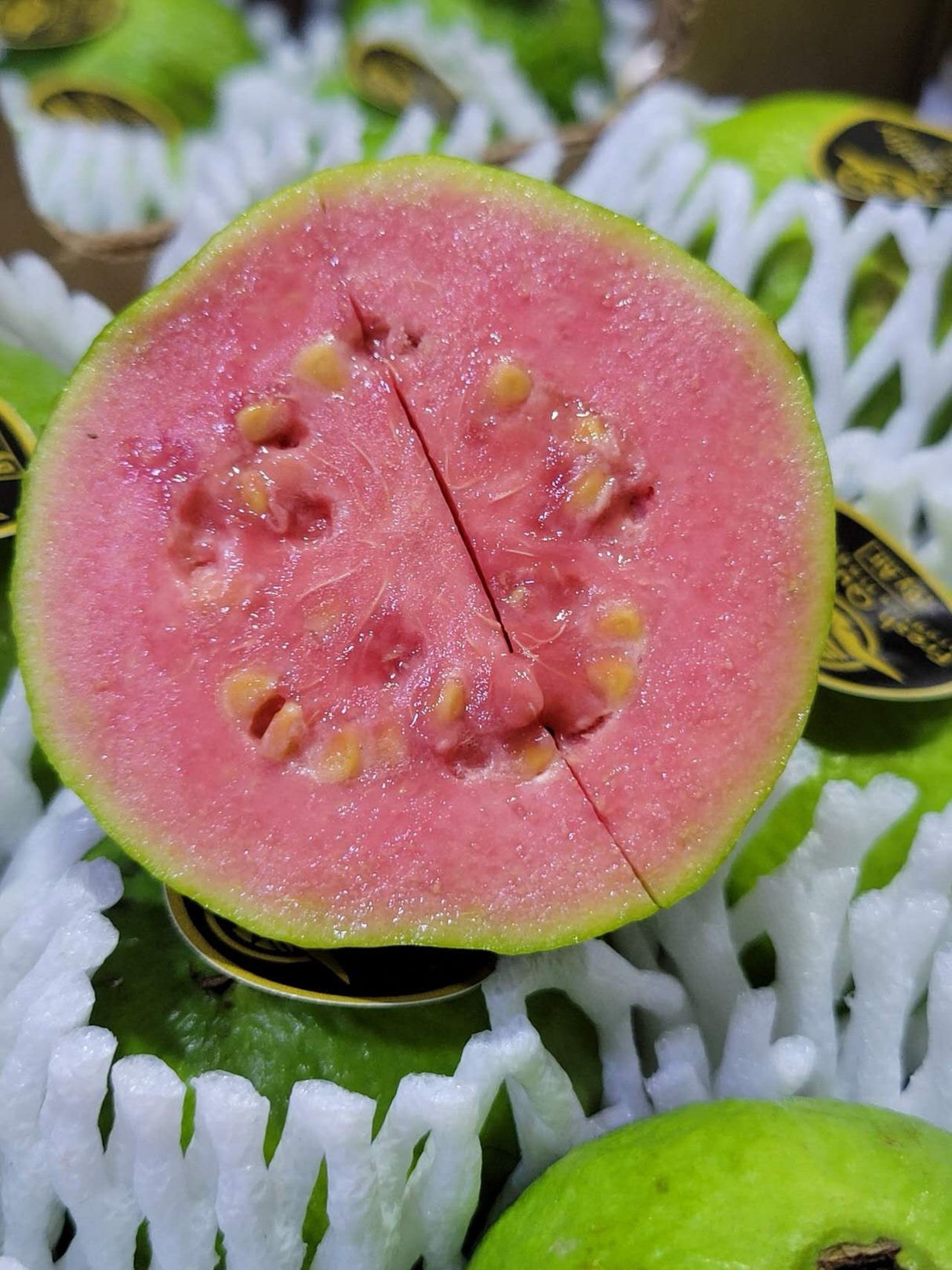 【Brazil】Red Heart Guava 1 Box 2kg