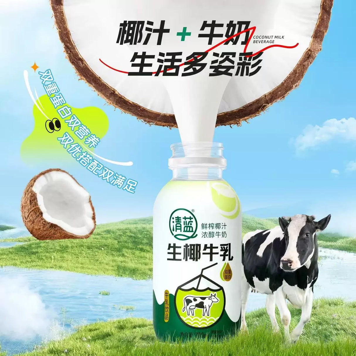 【清蓝】生椰牛乳 380ml*15