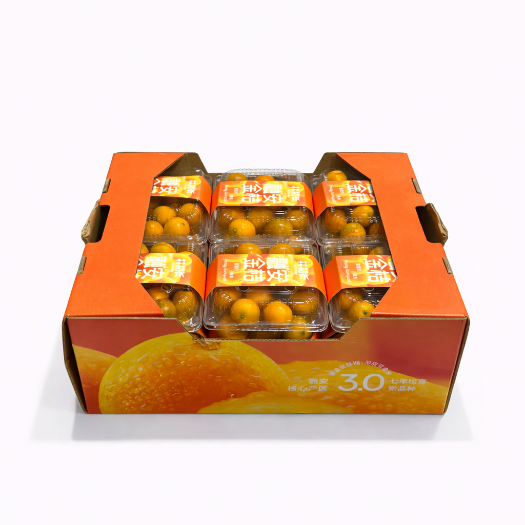 【China】 Crispy Kumquat 400g*3