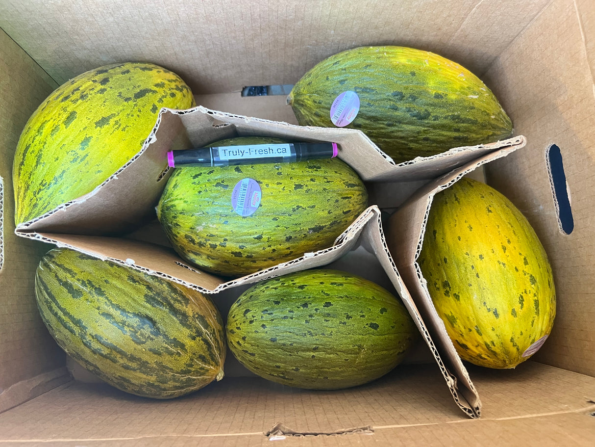 【USA】Emerald Honeydew Melon