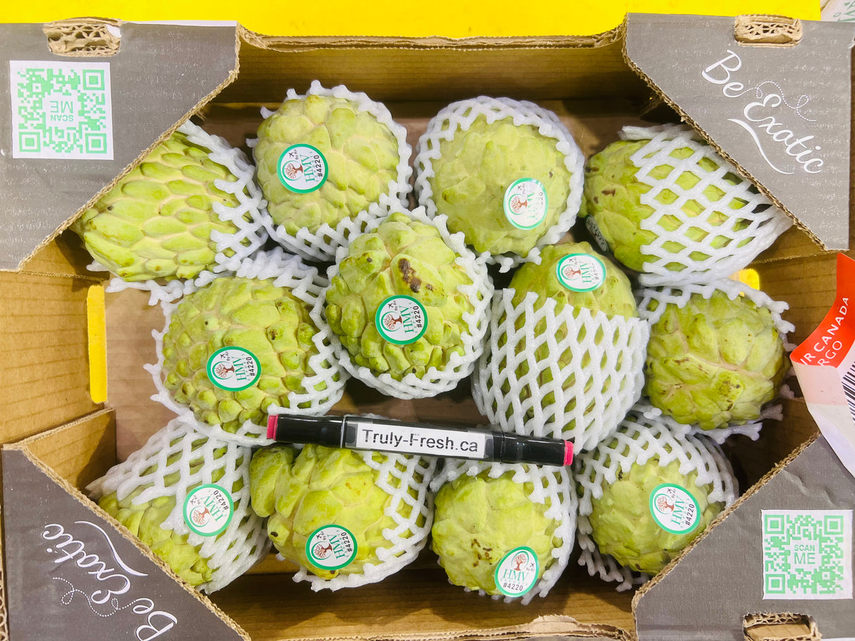 【Brazil】Air Freight Sugar Apple 1 Box 4kg