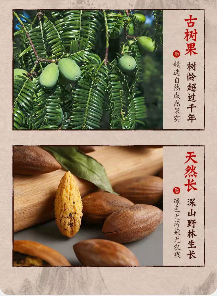 【青睐】诸暨香榧 500克