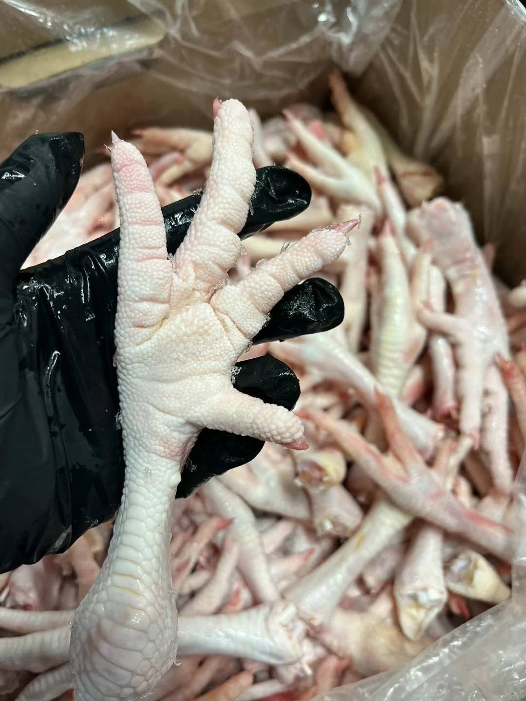❄️【Local】Free range chicken feet 3 pounds