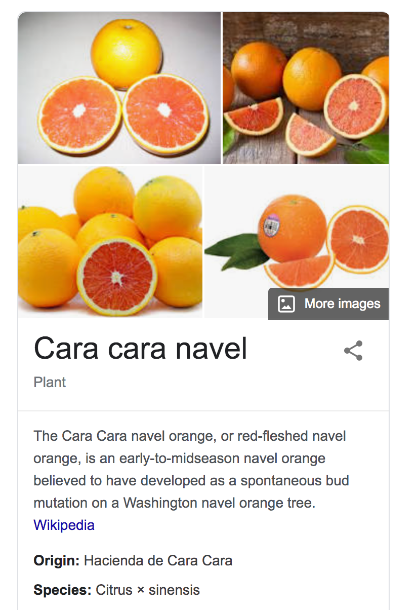 【CARA CACA】Red flesh navel orange
