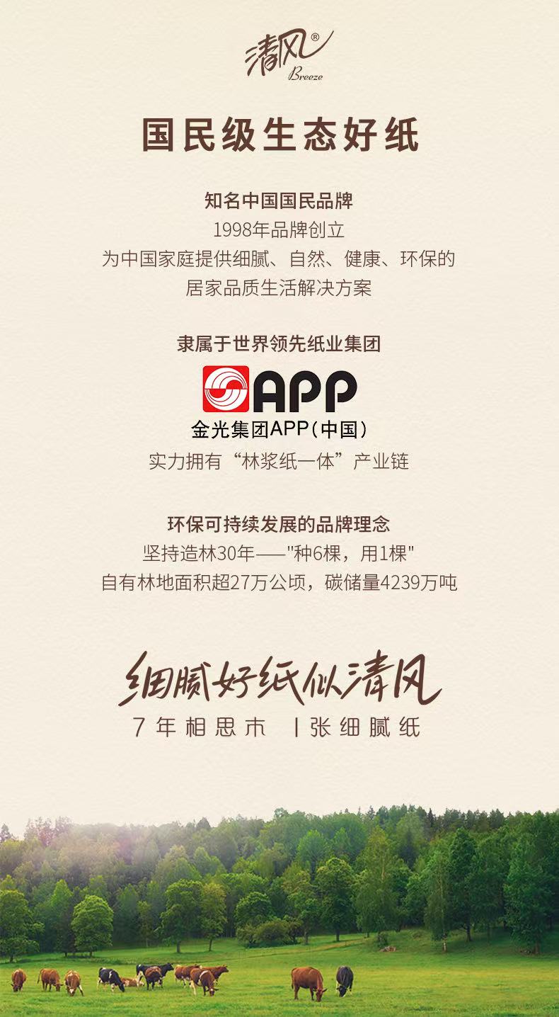 【Qingfeng】Original wood pure gold soft tissue 24 packs