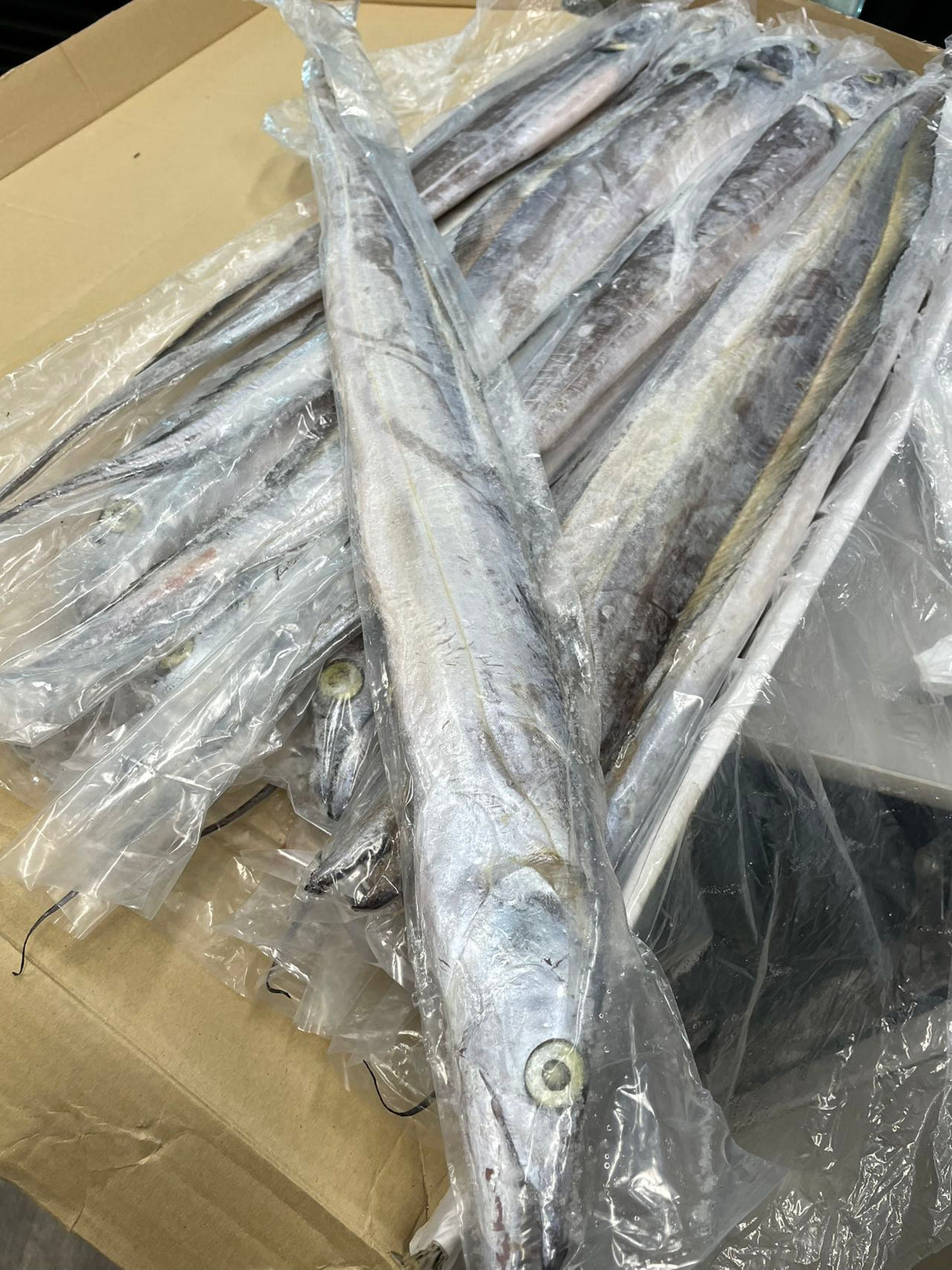 ❄️【北大西洋】野生钓带魚 1箱22磅