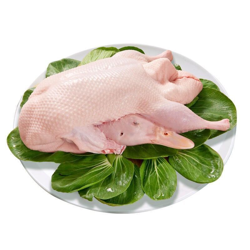 ❄️【Local】Farm-free Muscovy duck