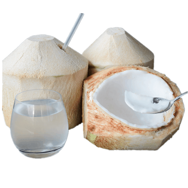 【越南】吸管大椰青 9size