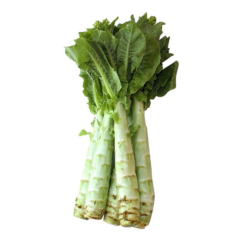 Fresh lettuce from Mexico