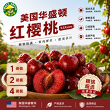 【美国】红樱桃（大）