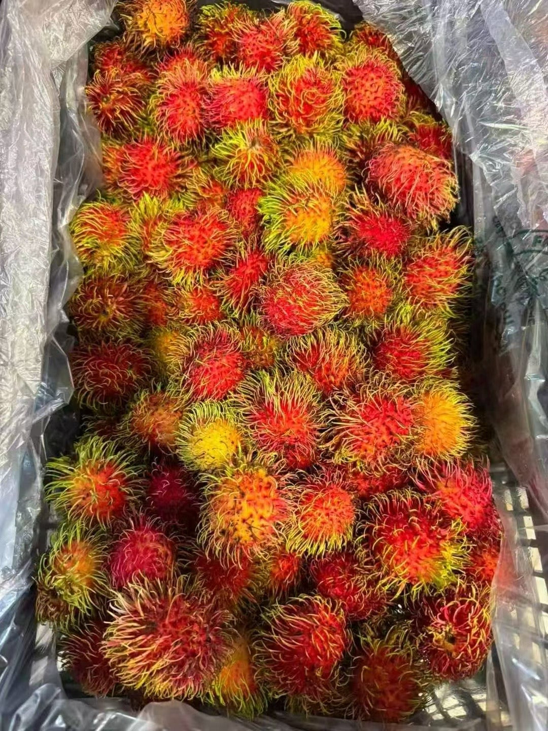 【墨西哥】红毛丹