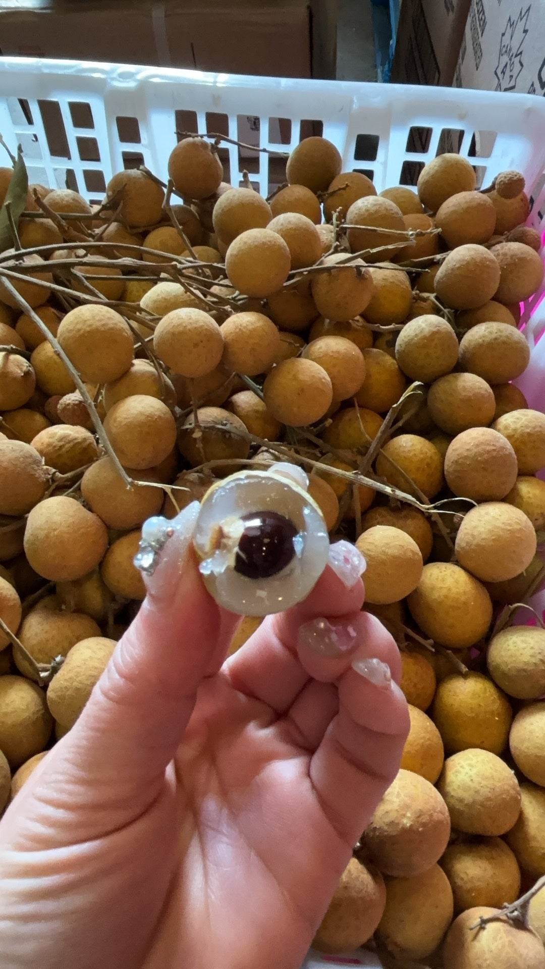 【泰国】新鲜龙眼