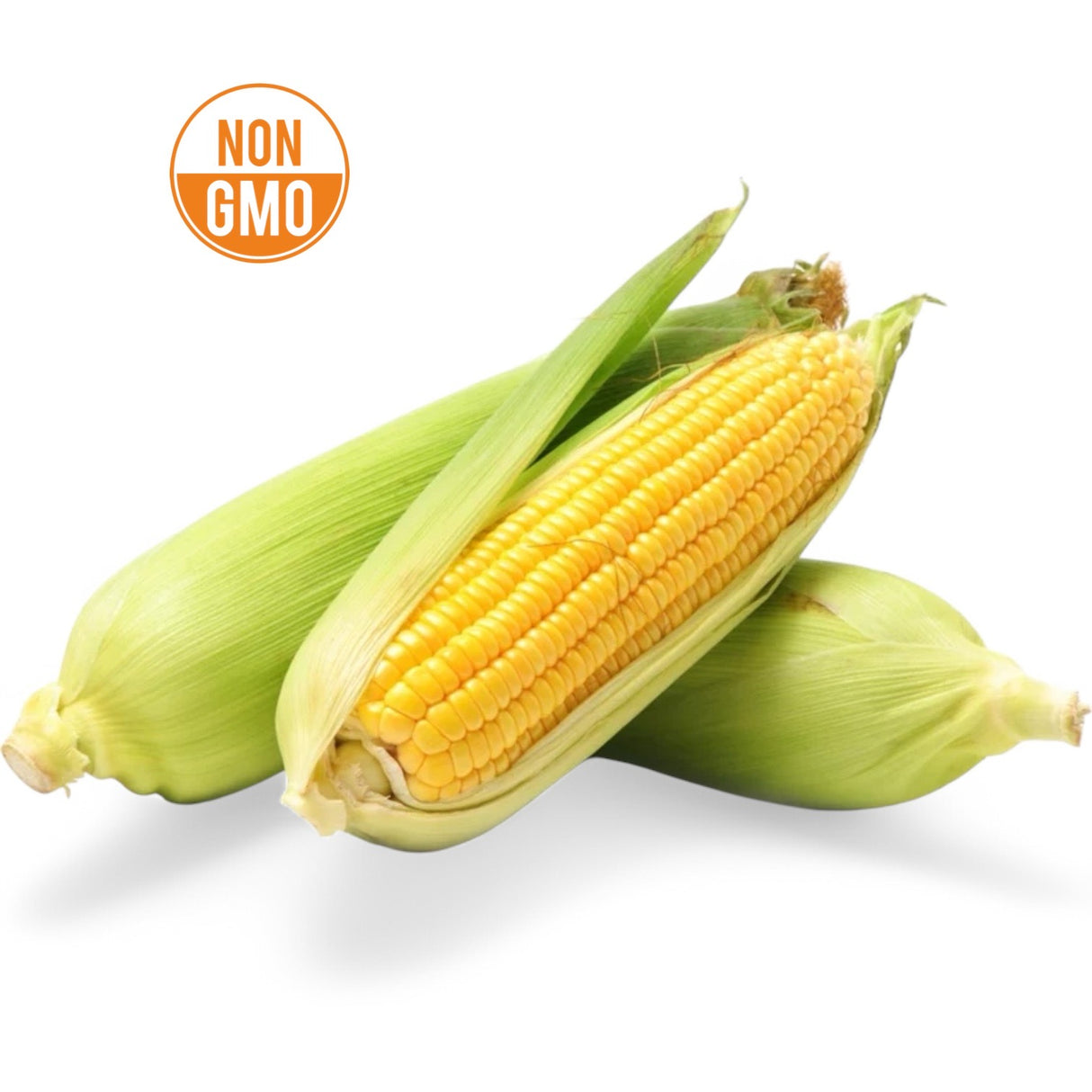 【TRULY FRESH】10 pieces of fresh non-GMO sweet corn