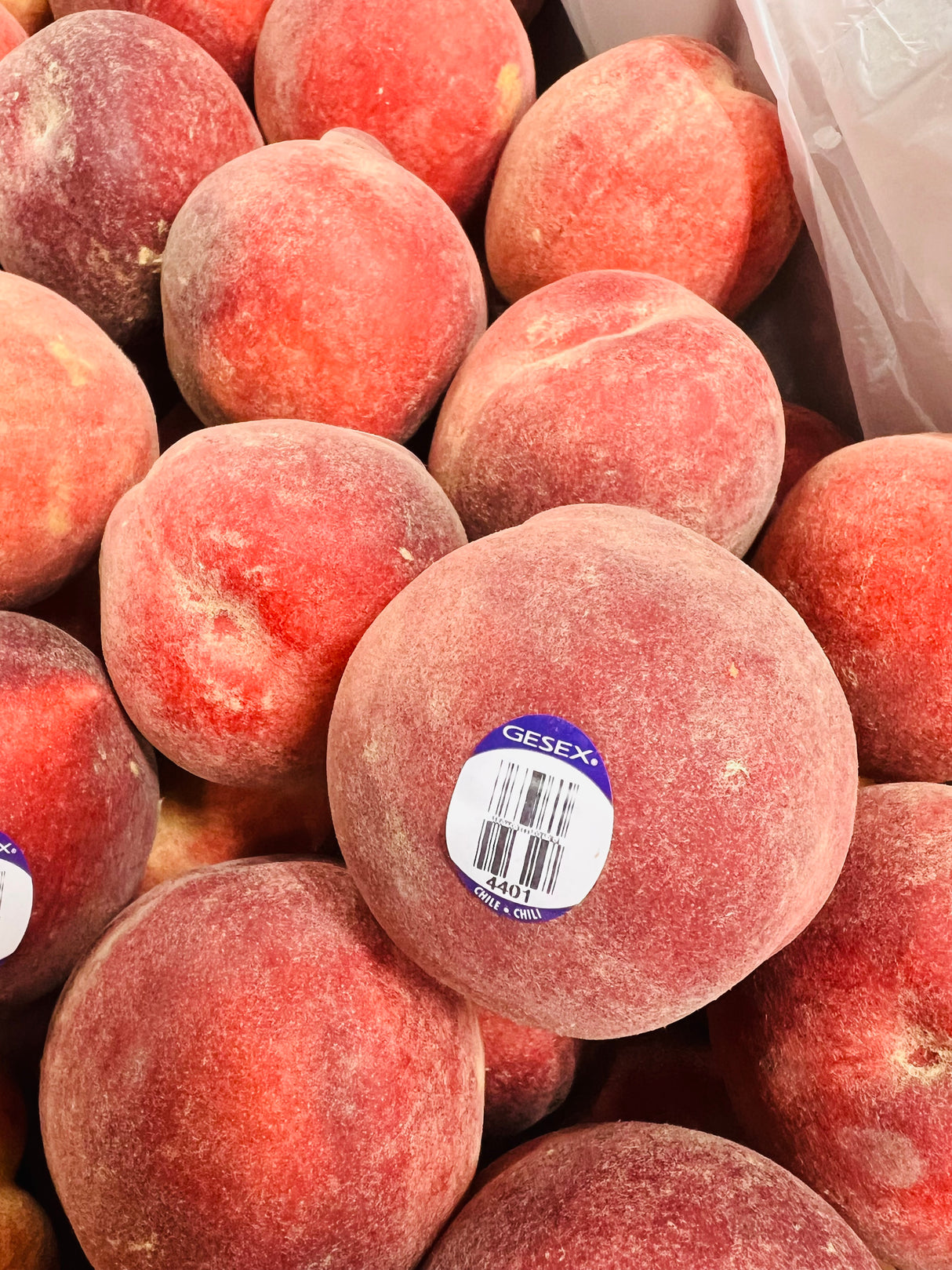特价【南美】4401 有毛水蜜桃 4磅