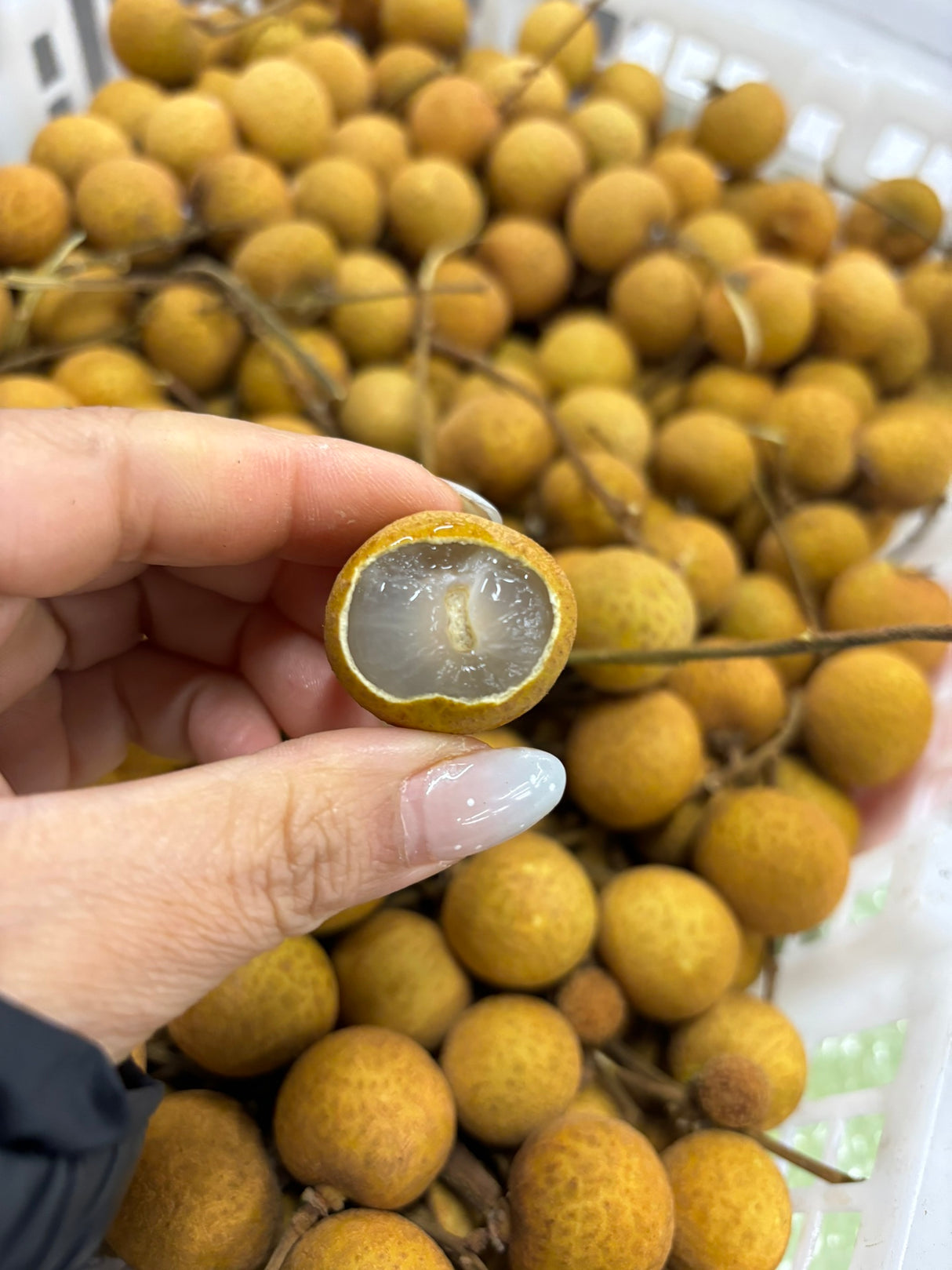 【泰国】新鲜龙眼