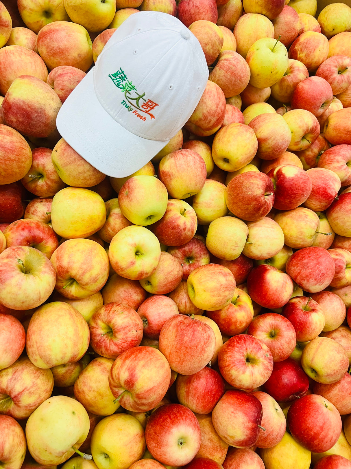 【本地】蜜脆苹果