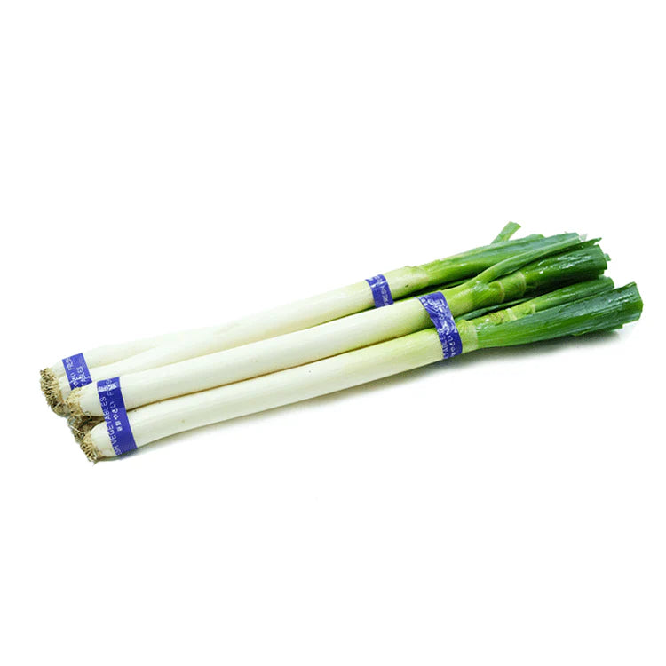 【China】Fresh Onions