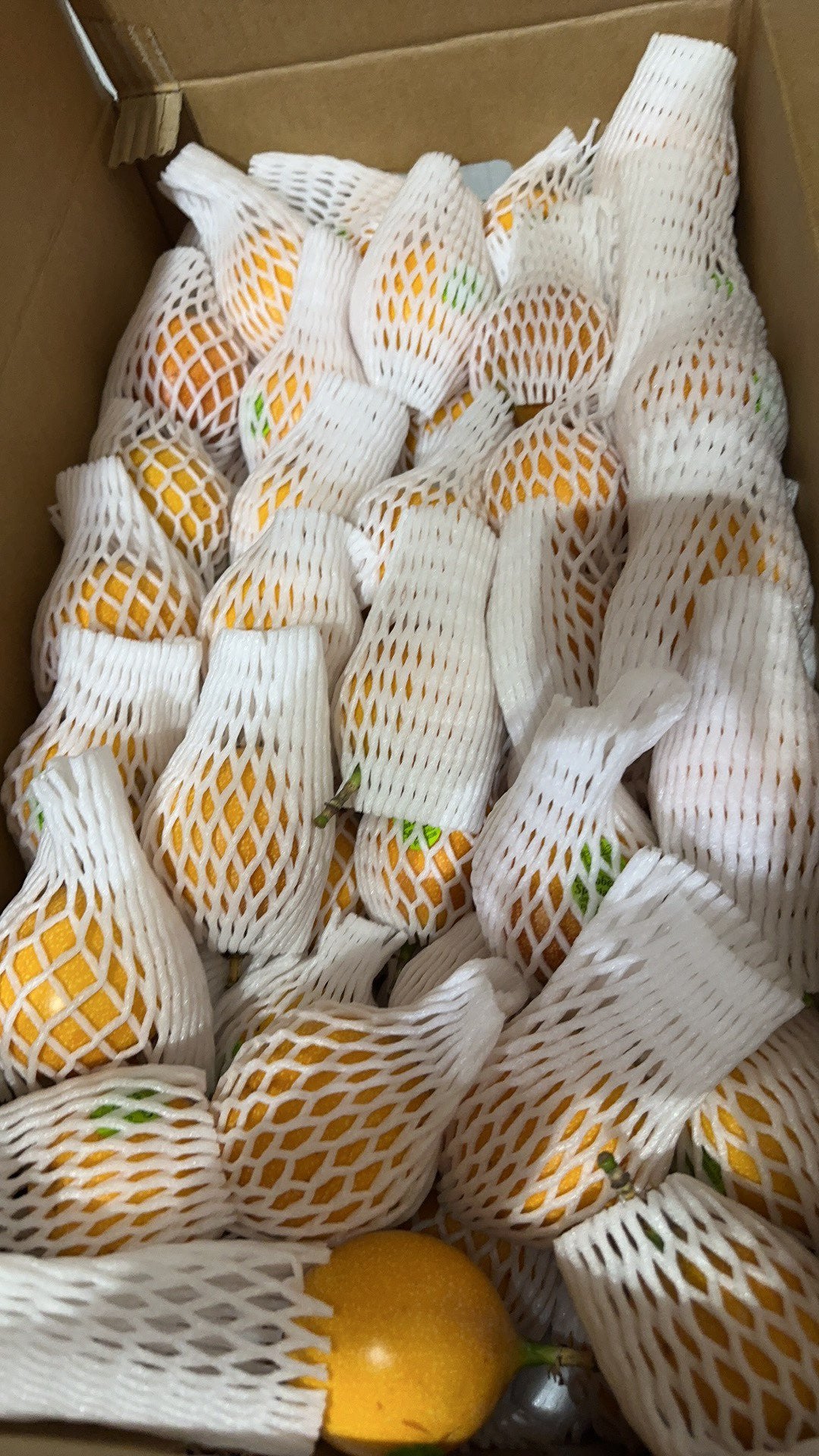 【厄瓜多尔】热情果 10大果