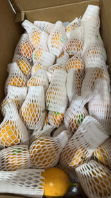 【厄瓜多尔】热情果 10大果