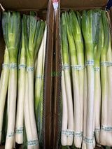 【China】Fresh Onions