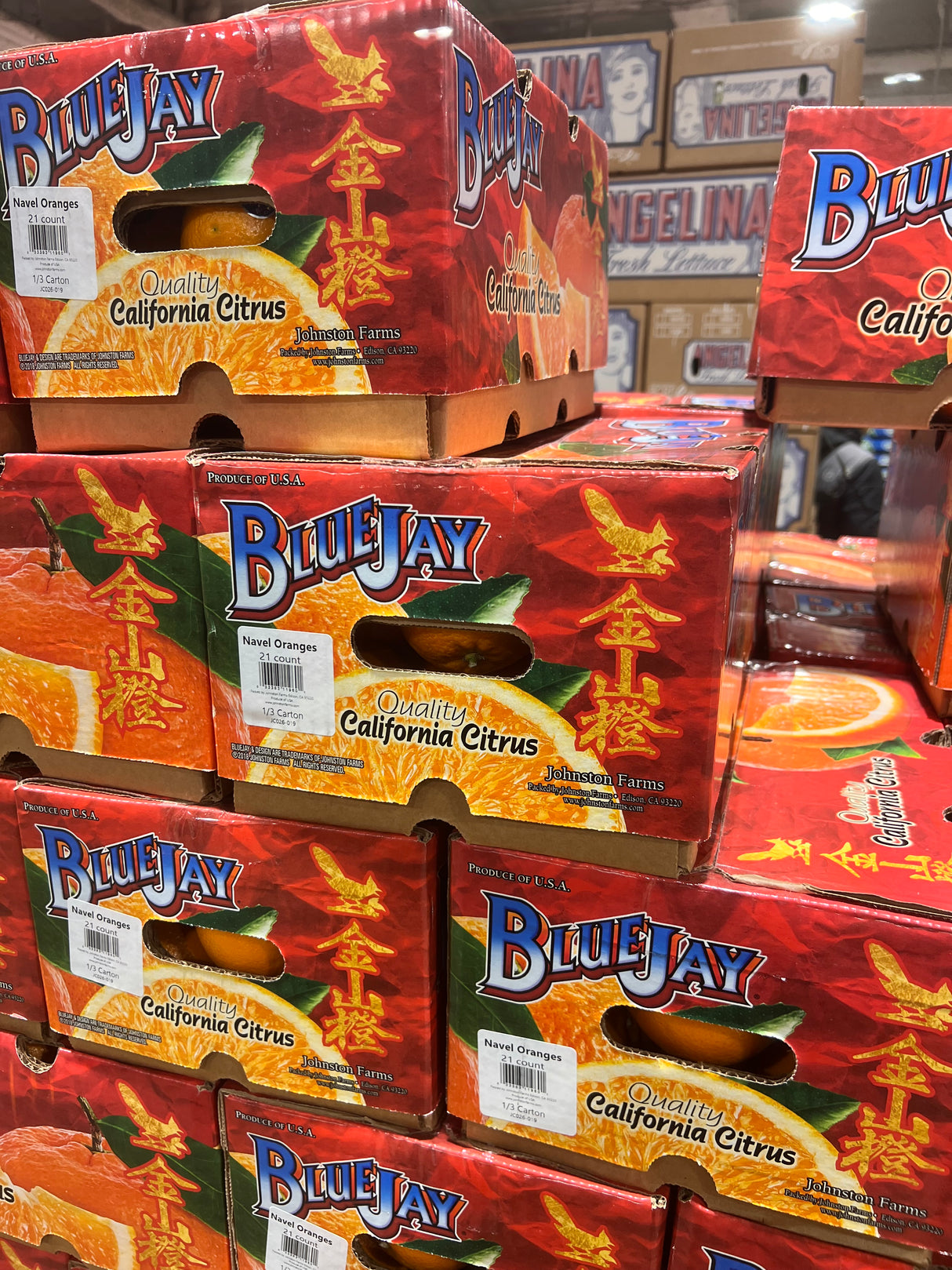 Special offer [Blue Bird] Navel Oranges 1 box 40 pounds