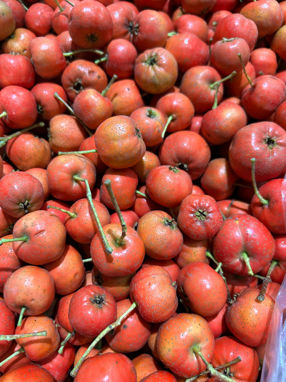 【中国】新鲜山楂