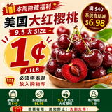 【美国】红樱桃（大）