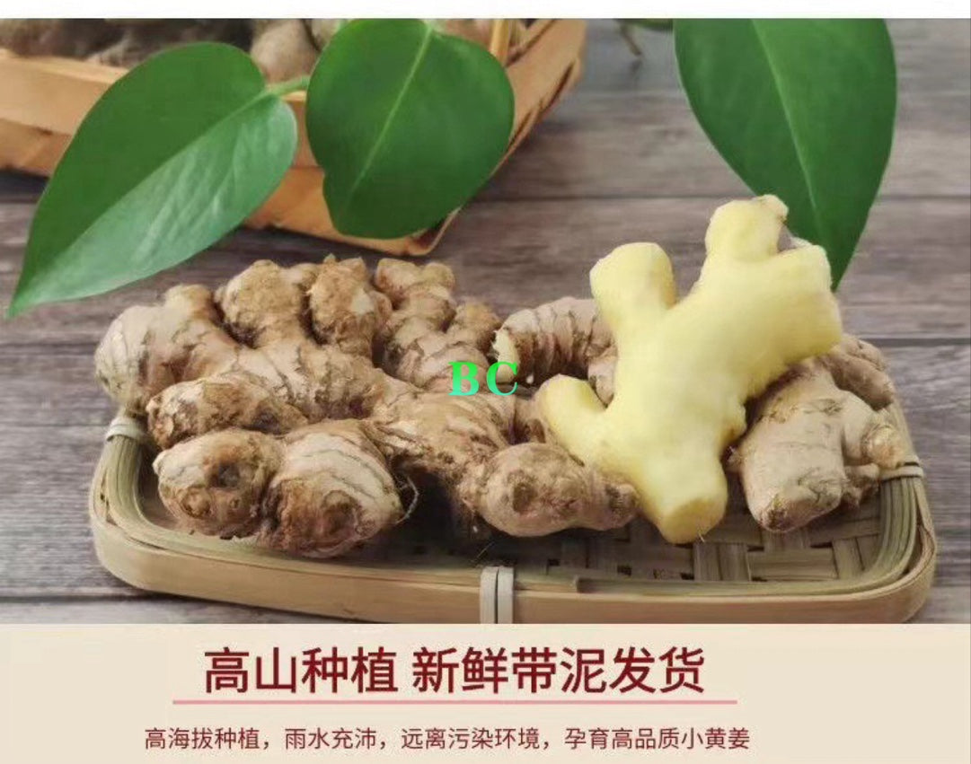 Special Offer: ORGANIC Ginger