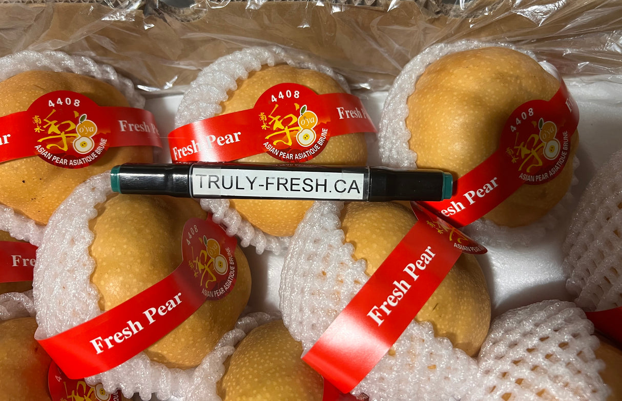 【中国】南水梨