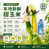 尝鲜【本地】非转基因甜玉米