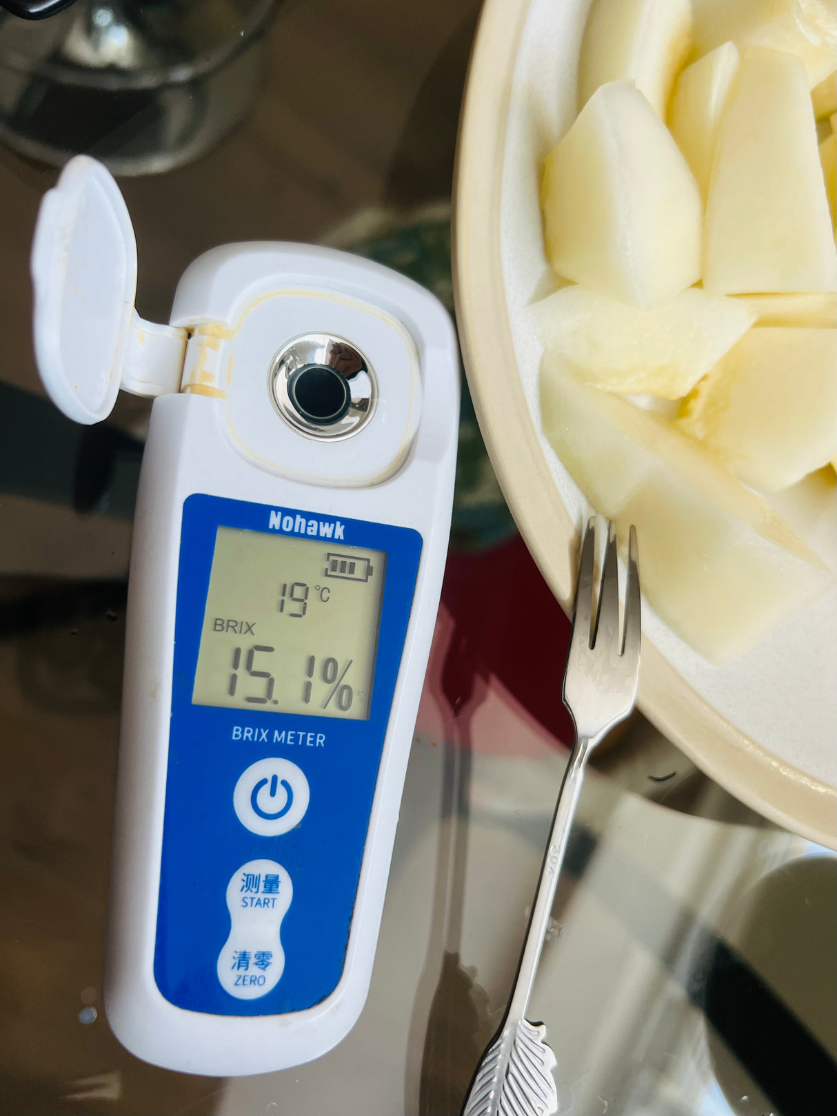 【DINO】Dinosaur melon