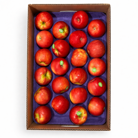 【本地】蜜脆苹果